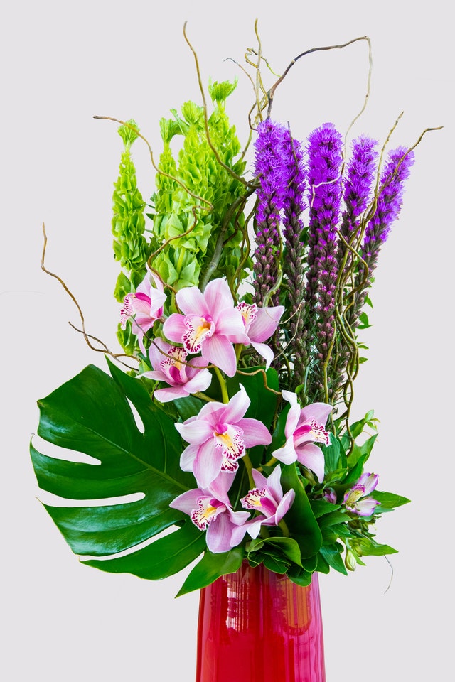 Modern Corporate tropical flowers